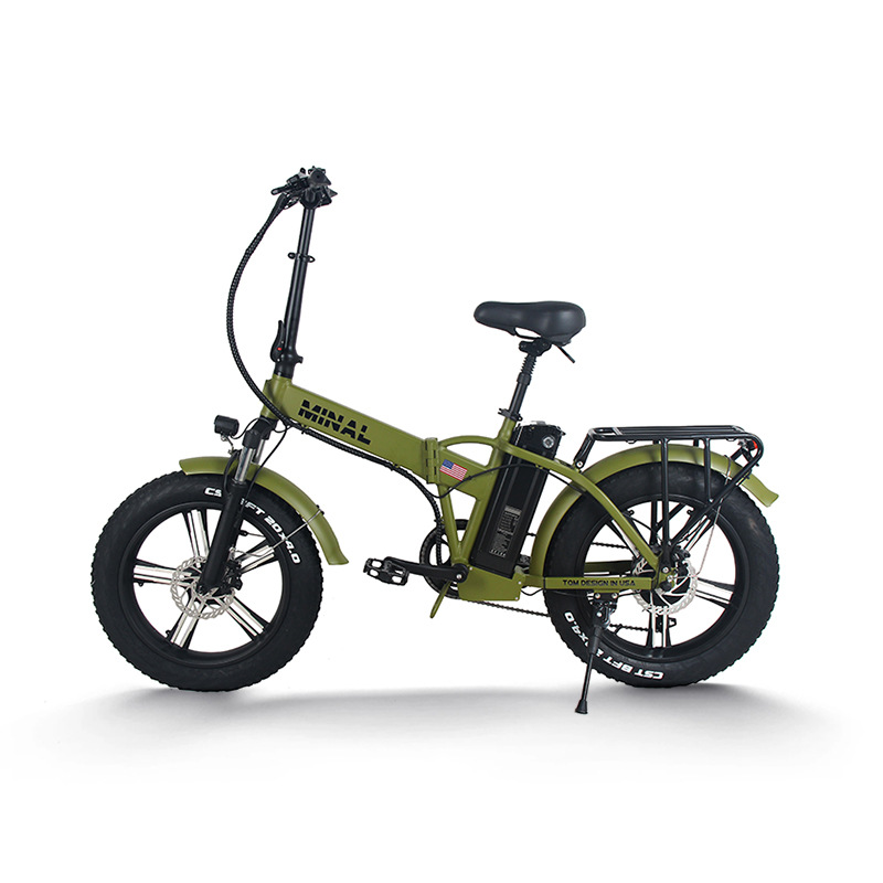 48V 350W 10.5Ah FTC200 전기 자전거  - Cycling Commute Gear 리뷰 및 가격